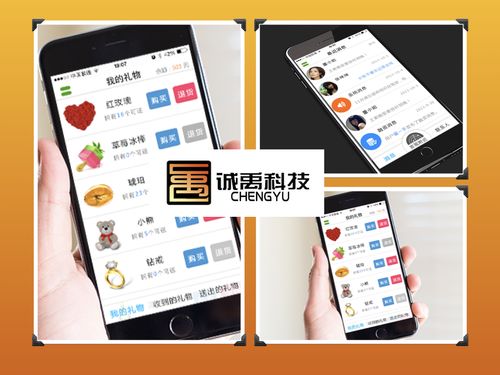 漳州軟件外包與APP開(kāi)發(fā) 聚焦IM即時(shí)通訊應(yīng)用的專(zhuān)業(yè)服務(wù)